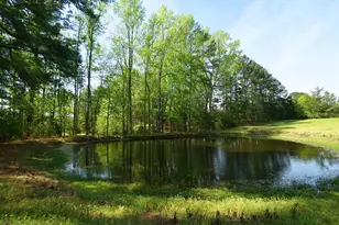 4319 Pearces Rd, Zebulon, NC 27597 - Photo 12