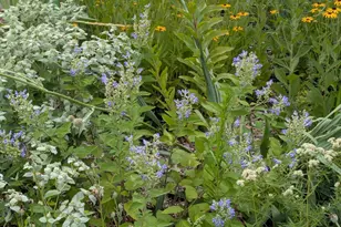 1326 Stonewall St, Burlington, NC 27217 - Photo 22