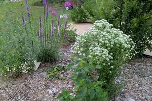 1326 Stonewall St, Burlington, NC 27217 - Photo 24