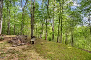 31 Mt Bolus Rd, Chapel Hill, NC 27514 - Photo 62