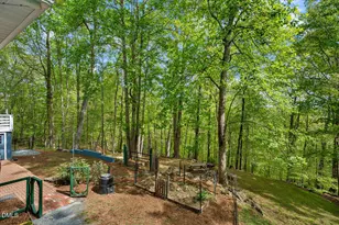 31 Mt Bolus Rd, Chapel Hill, NC 27514 - Photo 60