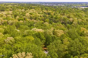 31 Mt Bolus Rd, Chapel Hill, NC 27514 - Photo 58