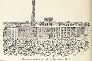 1535 Caraleigh Mills Ct, Raleigh, NC 27603 - Photo 48