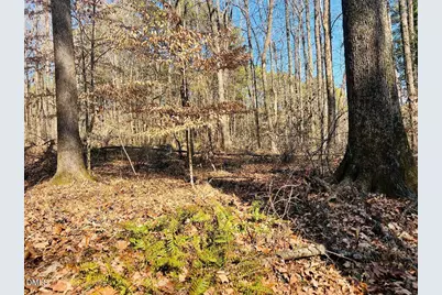 1000 Cross Link Road, Raleigh, NC 27610 - Photo 20