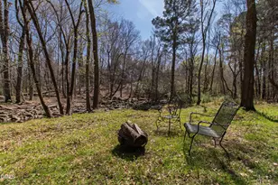 140 Blufftonwood Dr, Pittsboro, NC 27312 - Photo 70