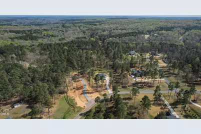 140 Blufftonwood Drive, Pittsboro, NC 27312 - Photo 84