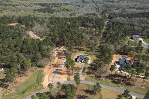 140 Blufftonwood Dr, Pittsboro, NC 27312 - Photo 86