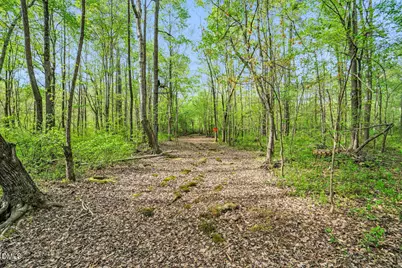 370 Log Barn Road, Pittsboro, NC 27312 - Photo 52