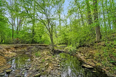370 Log Barn Road, Pittsboro, NC 27312 - Photo 48