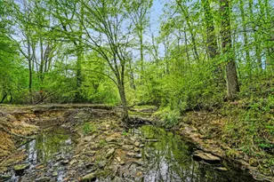 370 Log Barn Rd, Pittsboro, NC 27312 - Photo 48