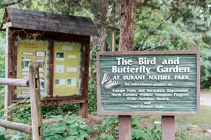 3700 Mineral Mill Ct, Raleigh, NC 27616 - Photo 40