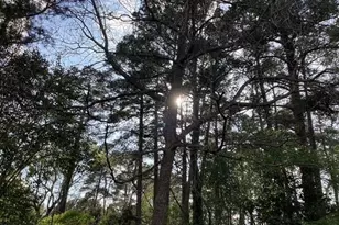 101 Pinecrest Rd, Durham, NC 27705 - Photo 26