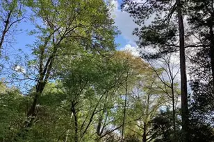 101 Pinecrest Rd, Durham, NC 27705 - Photo 28