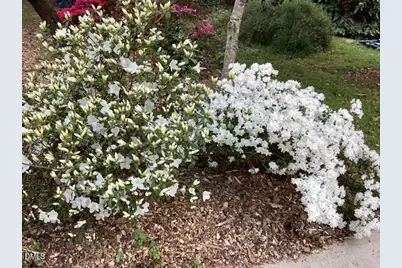 101 Pinecrest Road, Durham, NC 27705 - Photo 20