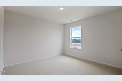 725 Sparkling Pear Drive, Willow Springs, NC 27592 - Photo 24