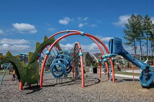 75 Cottage Way, Pittsboro, NC 27312 - Photo 56