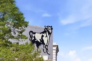 822 Gerard St, Durham, NC 27701 - Photo 34