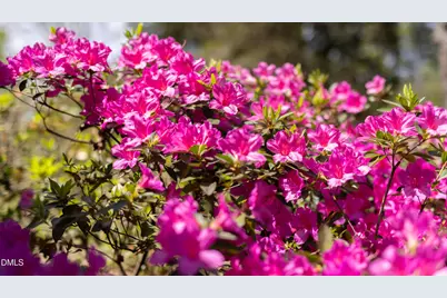 3409 Pickett Road, Durham, NC 27705 - Photo 34