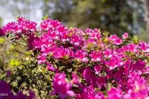 3409 Pickett Rd, Durham, NC 27705 - Photo 34