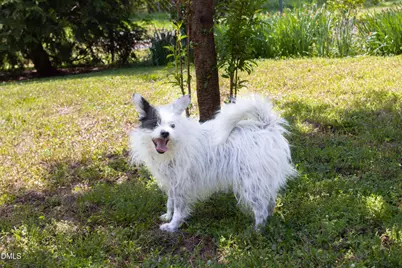 3409 Pickett Road, Durham, NC 27705 - Photo 42