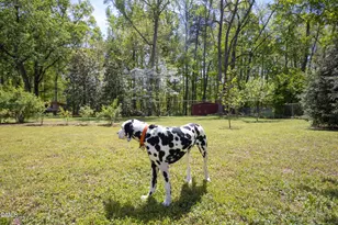 3409 Pickett Rd, Durham, NC 27705 - Photo 44