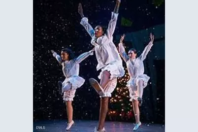 2063 Trident Maple Lane, Durham, NC 27517 - Photo 32