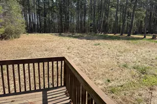 313 Opal Ln, Clayton, NC 27520 - Photo 12