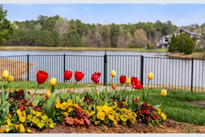 322 Perfect Moment Drive, Durham, NC 27713 - Photo 38