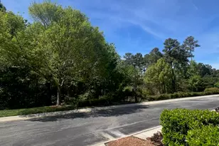 2005 Valleystone Dr, Cary, NC 27519 - Photo 38
