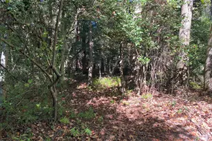 1021 Forest Glen Dr, Raleigh, NC 27603 - Photo 34