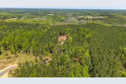 11.42 Acre Social Plain Road, Middlesex, NC 27557 - Photo 8