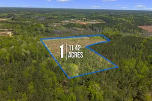 11 42 Acre Social Plain Rd, Middlesex, NC 27557 - Photo 1