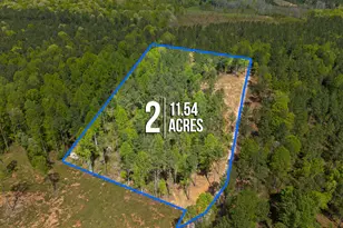 11 54 Acre Social Plain Rd, Middlesex, NC 27557 - Photo 1
