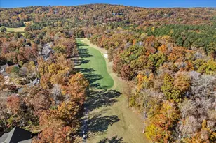 73219 Burrington, Chapel Hill, NC 27517 - Photo 58