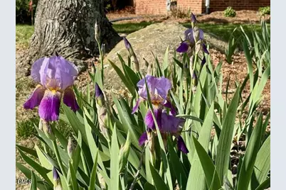 319 Reade Drive, Roxboro, NC 27573 - Photo 6