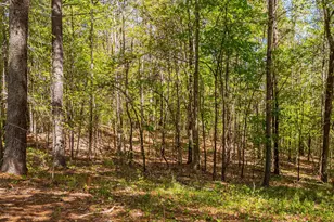 771 Smith Level Rd, Chapel Hill, NC 27516 - Photo 78