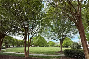 732 Waterford Lake Dr, Cary, NC 27519 - Photo 16