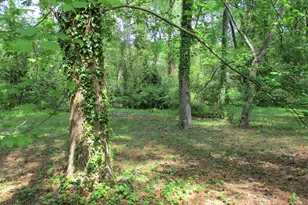 729 Ravel St, Raleigh, NC 27606 - Photo 6