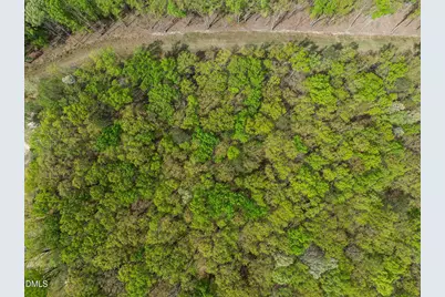 0 Howard Vaughan Road, Rougemont, NC 27572 - Photo 4