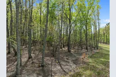 0 Howard Vaughan Road, Rougemont, NC 27572 - Photo 6