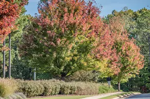 227 Deep Creek, Pittsboro, NC 27312 - Photo 8
