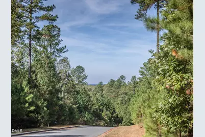 227 Deep Creek, Pittsboro, NC 27312 - Photo 16