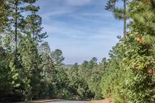 227 Deep Creek, Pittsboro, NC 27312 - Photo 16