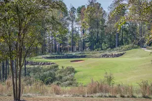 227 Deep Creek, Pittsboro, NC 27312 - Photo 10