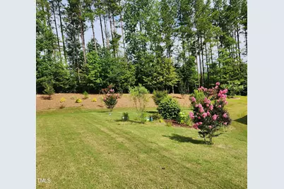 59 Winfield Manor Court, Clayton, NC 27527 - Photo 34
