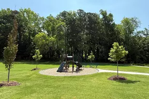 1511 Mirth Ct, Rolesville, NC 27571 - Photo 28