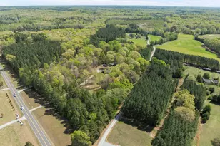 236 Dirgie Mine Rd, Roxboro, NC 27574 - Photo 54