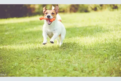 314 Williams Grv Lane, Apex, NC 27523 - Photo 32