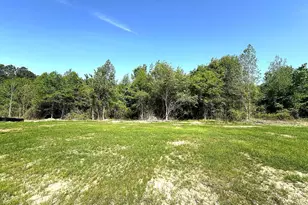 104 Hummingbird Grv Ln, Princeton, NC 27569 - Photo 16