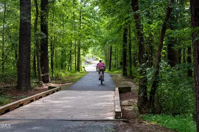 3312 Jeter James Way, Apex, NC 27523 - Photo 24